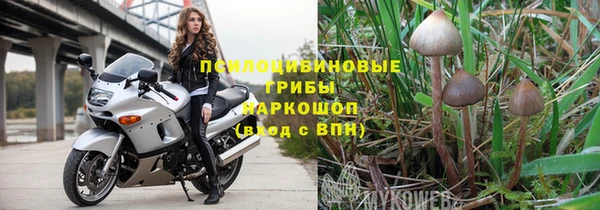 PSILOCYBIN Усолье-Сибирское