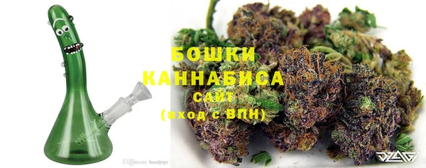 стаф Мензелинск