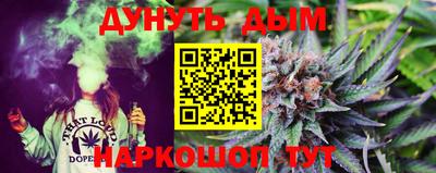 гашик Дубна