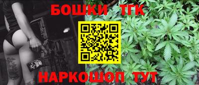 гашик Дубна