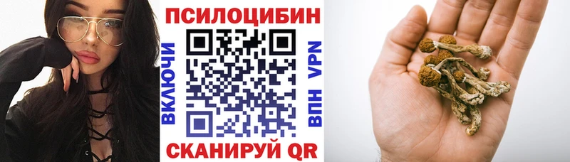 darknet наркотические препараты  Кемерово  Псилоцибиновые грибы Cubensis 