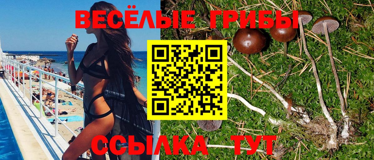 Галлюциногенные грибы Cubensis  Галлюциногенные грибы прущие грибы  Кемерово 