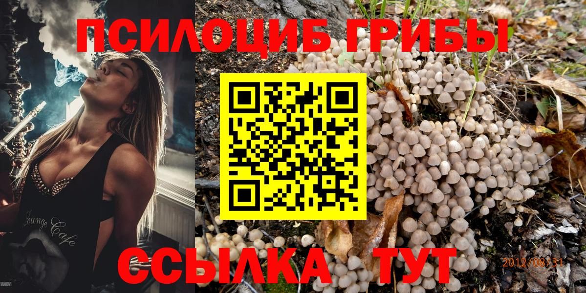 Галлюциногенные грибы мицелий  Вход с VPN  Кемерово  Галлюциногенные грибы прущие грибы 